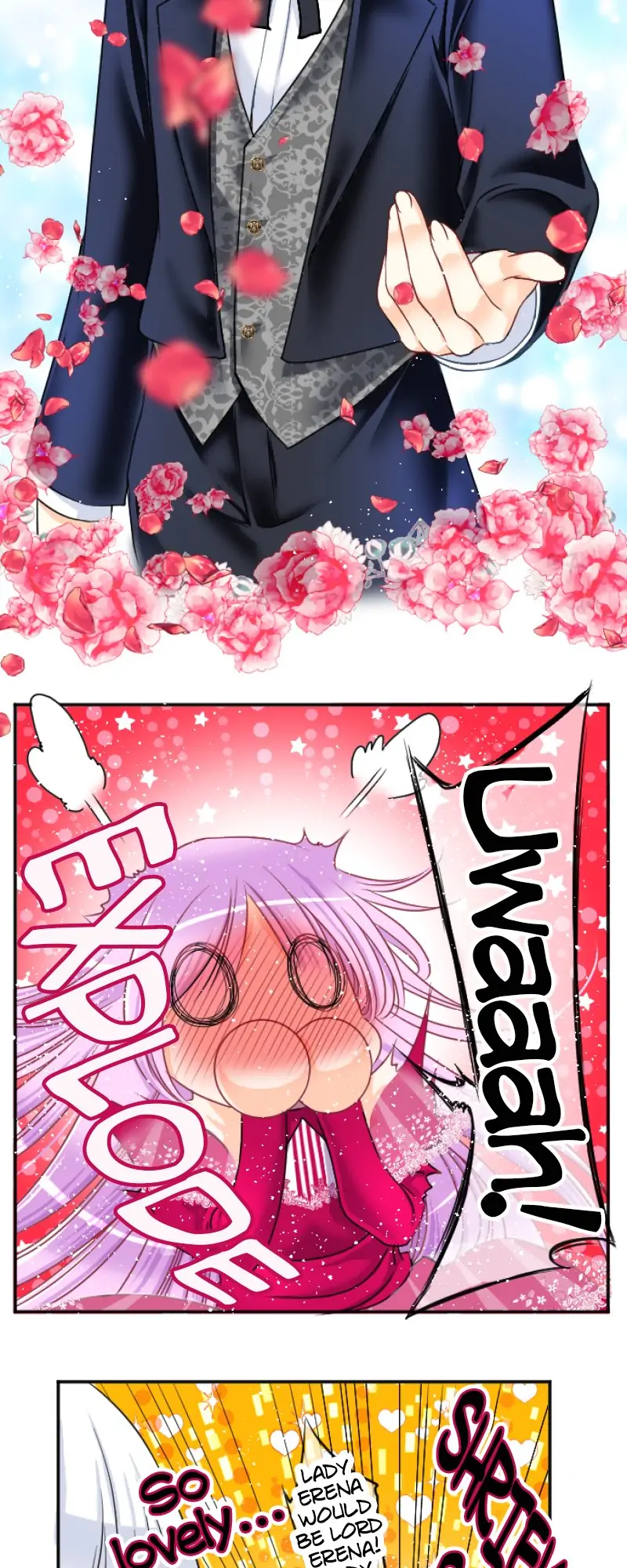 32034453 800 2000 176304